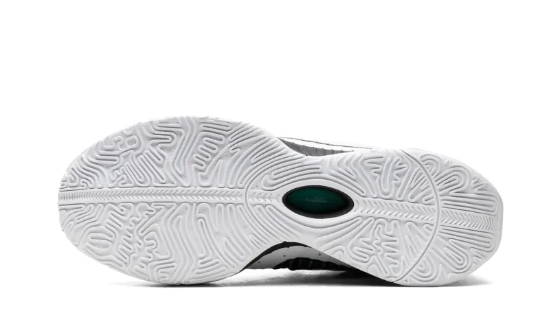 Nike Basketball LeBron 21 'Conchiolin'